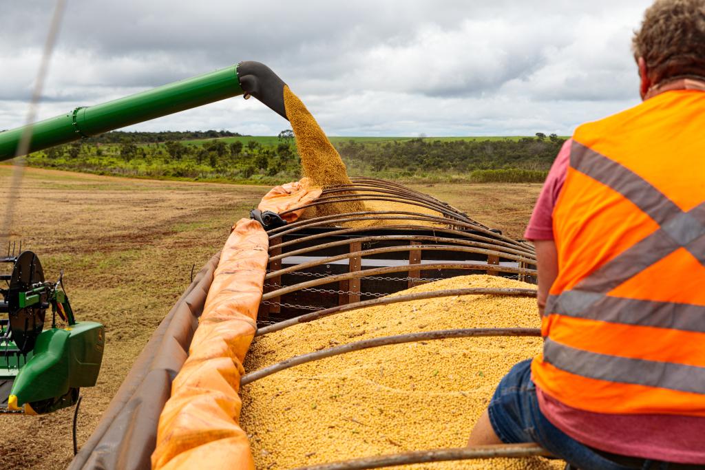 Mato Grosso fecha 2025 como o 4º maior exportador brasileiro