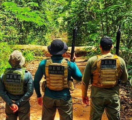 Polícia Civil apreende mais de R$ 134 milhões em carga de madeira ilegal no primeiro semestre de 2025